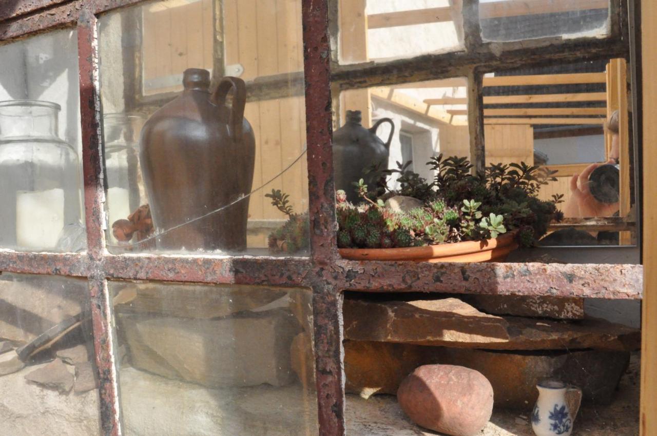 Pension "Seeblick" Am Stelzenhaus Dornburg  ภายนอก รูปภาพ
